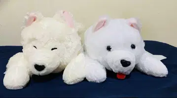 사모예드 군 늘어뜨린 울트라 BIG 봉제 인형