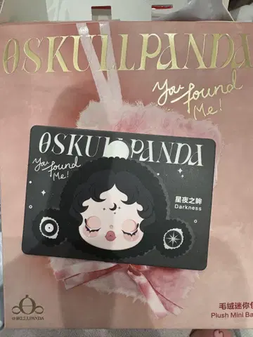 SKULLPANDA You Found Me!Darkness