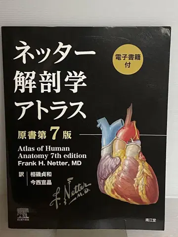 [ 전자책 미사용 ] 네터 해부학 아틀라스 ( 원서 제7판 )
