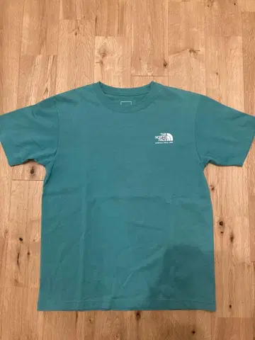THE NORTH FACE 그린 틸 T셔츠 L 사이즈