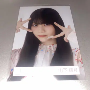 사쿠라자카46 브로마이드 야마시타 시즈키 자업자득 요리