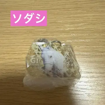 아이돌 호스 미니 컬렉션 소다시
