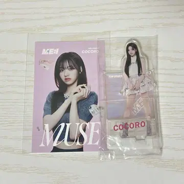 카토 코코로 COCORO ME:I 미아이 MUSE ME:ICONIC