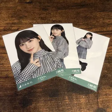 [ 최저가 ] 카와사키 벚꽃 하운드투스 컴프