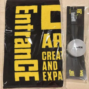 Da-iCE -EntranCE- 팔찌 라이트 페이스 타월