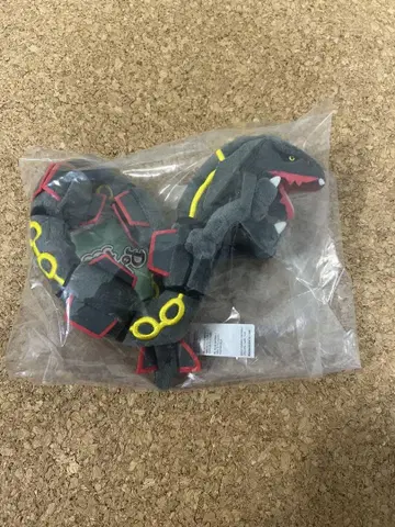 블랙 레쿠자 fit 포켓몬 센터