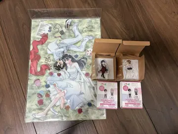 보쿠야바 아크릴 피규어 컬렉션 & 클리어 파일