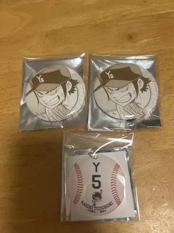토도로키이치 세트