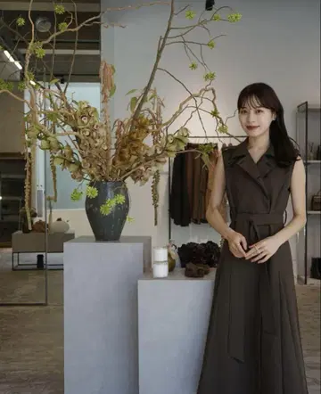 lor Sleeveless Coat Dress