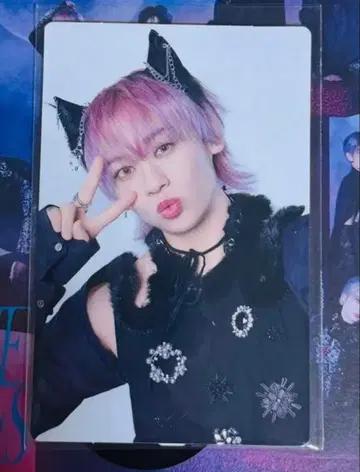 초특급 슈야 NINE LIVES 완전 생산 한정판 트레이딩 카드