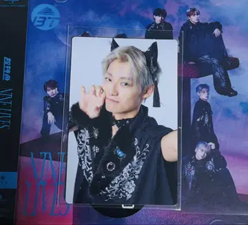 초특급 아로하 NINE LIVES 완전 생산 한정판 트레이딩 카드