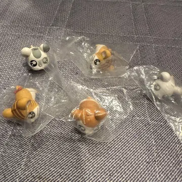 하구콧토 쳇바퀴를 구르는 햄스터 햄 츄리!