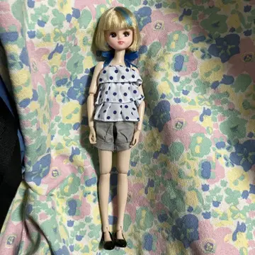 리카짱 헤드 + momoko 틴 바디 1/6 중고
