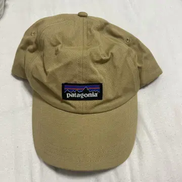 patagonia 베이지 캡