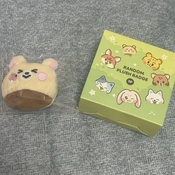 NCT DREAM Dreamiez 랜덤 배지 지성