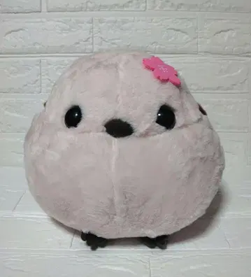 복복 시마연가 봄빛 절정 2 벚꽃색 시마에