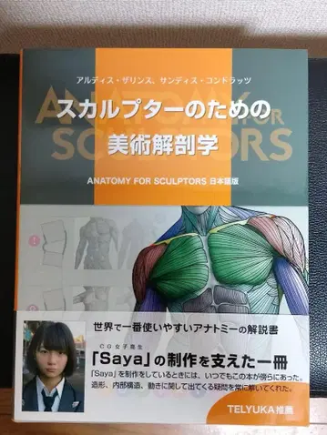 스컬프터를 위한 미술 해부학