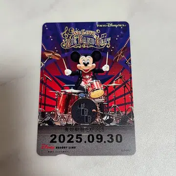 디즈니씨 빅뱅 비트 BBB 리조트 프리 티켓