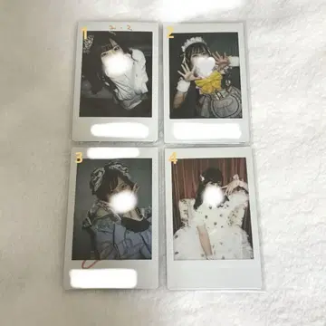 후쿠마루 우사 폴라로이드