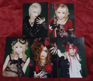 HIZAKI grace project 아티스트 사진 브로마이드 세트