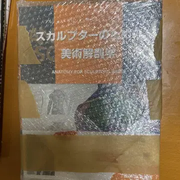스컬프터를 위한 미술 해부학