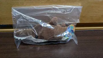 [미개봉] 노코기리자메 봉제 인형