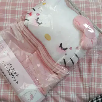 헬로키티 다이컷 월 포켓