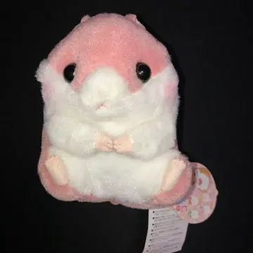 코로하무 콜론 큐티 베리짱 ST사이즈 봉제 인형 택 포함