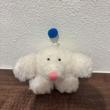 봉제 인형 작가 아토리에게 코다누키 오모유