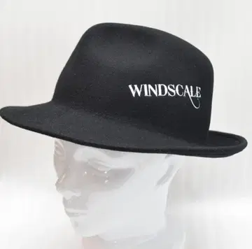 가면라이더 더블 윈드 스케일 쇼타로 wind scale 햇 모자