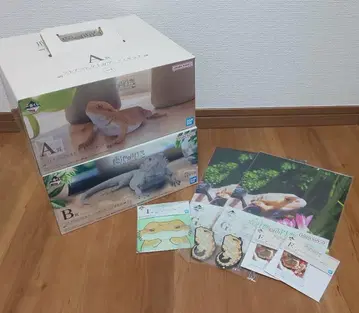 제일복권 파충류&양서류 비어디드래곤 피규어