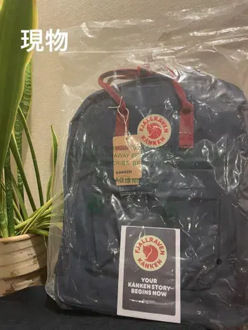익일 배송 칸켄 백팩 20L 꽤 사용하기 쉬운 사이즈