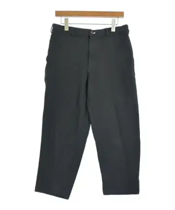 COMME des GARCONS HOMME PLUS 팬츠 (기타) 남성용