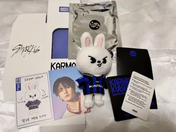 Stray Kids KARMA 리비트 SKZOO