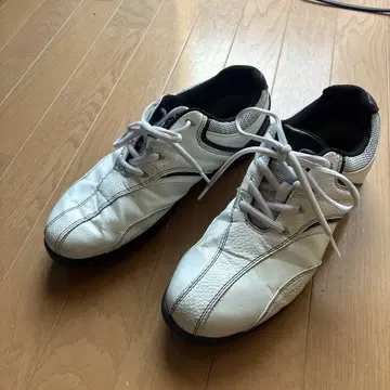 골프화 ONE SIDER 26cm