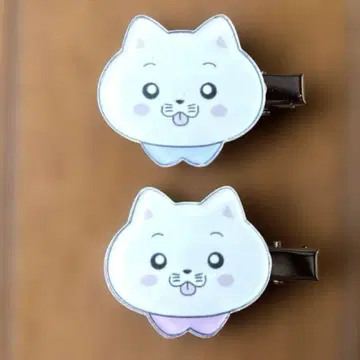 빛이 죽은 여름 헤어 클립 세트