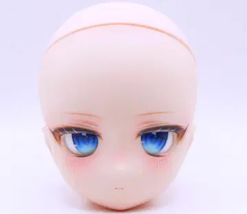 DDH-29 커스텀 헤드 SW 스킨 + 딜러제 아이