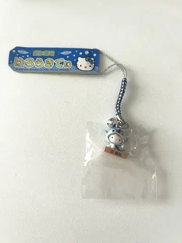지역 한정 키티 고치 한정판