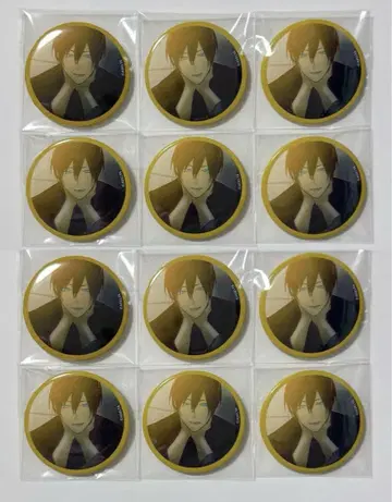 고서점 거리의 하시히메 카와세 스틸 캔뱃지 12점