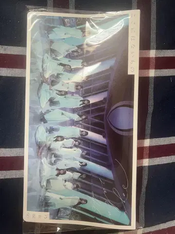 사카미치 시리즈 사진 그룹 샷