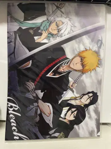 BLEACH 클리어 파일 이치고 루키아 히츠가야 바이켄
