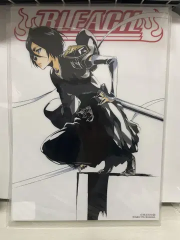 BLEACH 후목 루키아 클리어 파일