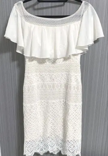 TADASHI SHOJI 타다시 쇼지 레이스 드레스