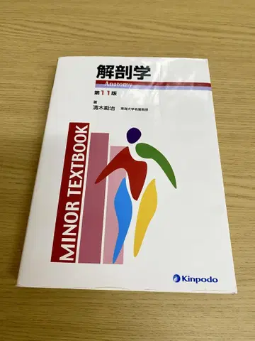 해부학