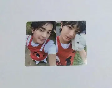 cortis 코르티스 공호 트레이딩 카드 weverse album