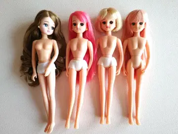 리카짱 인형 세트 커스텀에 리카짱 캐슬
