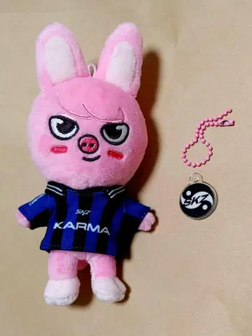 straykids KARMA 키링 돼끼 창빈