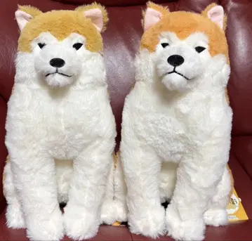 따스한 가을 아키타견 하치베 봉제 인형 JB 사이즈 하치베 포카마루