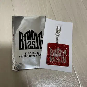 BMSG FES'25 랜덤 웨이브 키링 SKY-HI