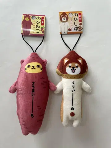늘어나는 고양이 늘어나는 시바 가을